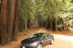 photo thumbnail #1