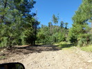 photo thumbnail #8