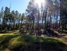 photo thumbnail #12