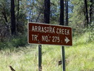 photo thumbnail #14