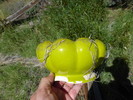 photo thumbnail #7