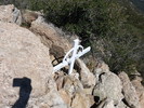 photo thumbnail #3