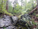 photo thumbnail #14