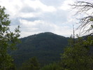 2014-09-04 :1: Groom Creek Loop Trail #307 :: kingsnake