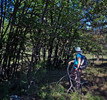 photo thumbnail #2