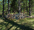 photo thumbnail #5