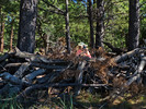photo thumbnail #8