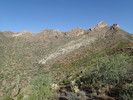 photo thumbnail #5