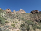 photo thumbnail #10