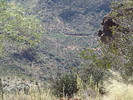 photo thumbnail #13