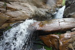 photo thumbnail #9