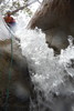 photo thumbnail #13