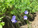 photo thumbnail #14