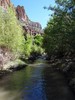 photo thumbnail #5