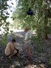 photo thumbnail #9