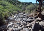 photo thumbnail #13