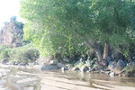 photo thumbnail #6