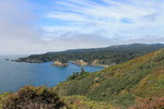 photo thumbnail #8