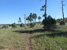 photo thumbnail #6