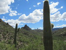 photo thumbnail #1