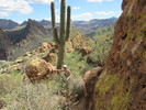 photo thumbnail #6