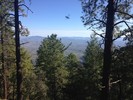 photo thumbnail #9