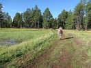photo thumbnail #4
