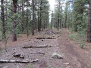 photo thumbnail #14