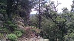 photo thumbnail #11