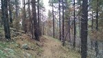 photo thumbnail #12