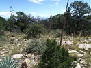photo thumbnail #3