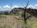 photo thumbnail #13