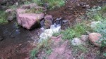 photo thumbnail #13