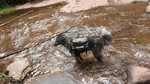 photo thumbnail #14