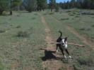 photo thumbnail #7