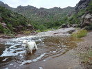 photo thumbnail #4
