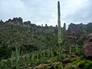 photo thumbnail #7