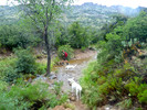 photo thumbnail #9