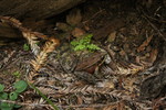 photo thumbnail #11