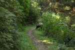 photo thumbnail #11