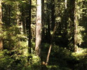photo thumbnail #8