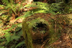 photo thumbnail #12