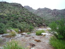 photo thumbnail #7