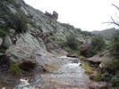 photo thumbnail #8