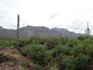 photo thumbnail #9