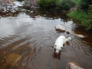 photo thumbnail #11