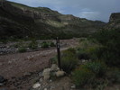 photo thumbnail #11