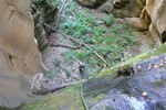 photo thumbnail #11