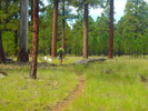 photo thumbnail #3