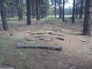 photo thumbnail #14